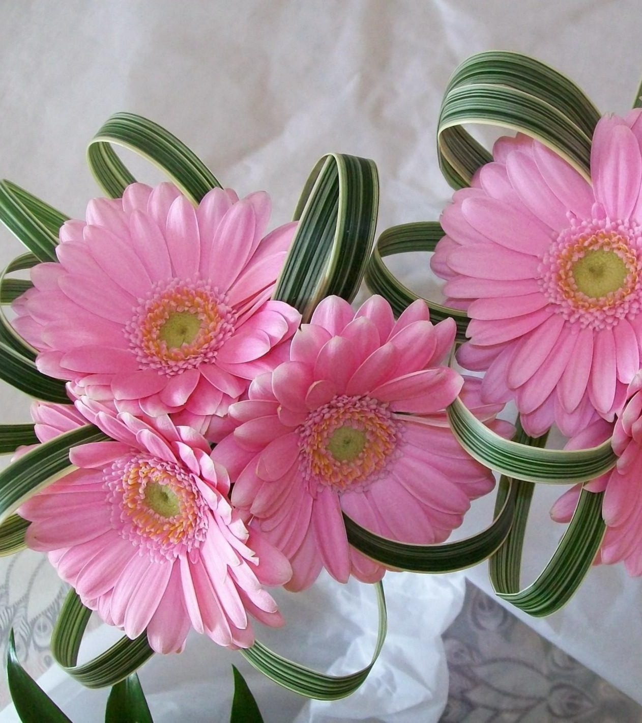 Main Banner Image 1